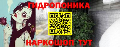 гидропоника Сланцы