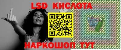 гидропоника Сланцы