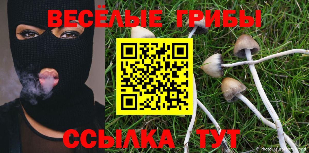 Воткинск  Псилоцибиновые грибы мухоморы  Вход с VPN  Псилоцибиновые грибы прущие грибы 
