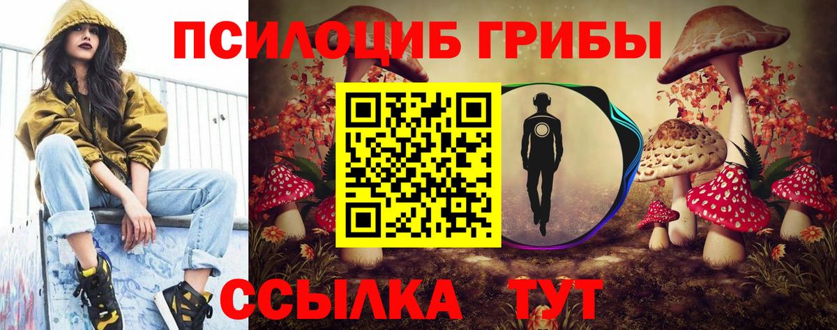 Псилоцибиновые грибы прущие грибы Воткинск